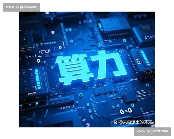 以后续待定为中心的未来发展战略与创新路径探索及实践方向研究