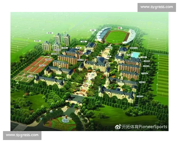 足球体系的构建与发展路径分析及其对全球足球竞技水平的影响 足球体系的构建与发展路径分析及其对全球足球竞技水平的影响