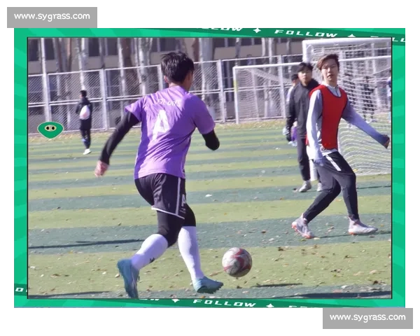 绿茵赛场上的英雄梦想与奋斗：球员们的拼搏精神与无畏挑战